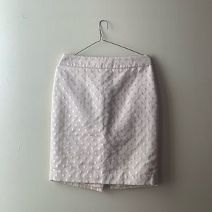 Ann Taylor Skirt